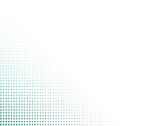 狗子28