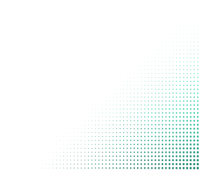 狗子28